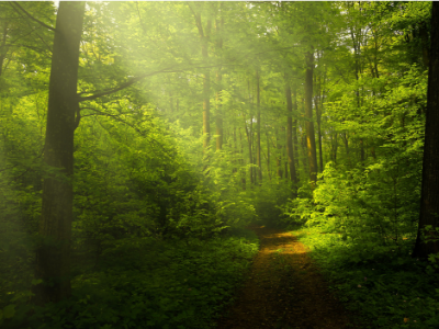 Ways To Live A More Sustainable Life