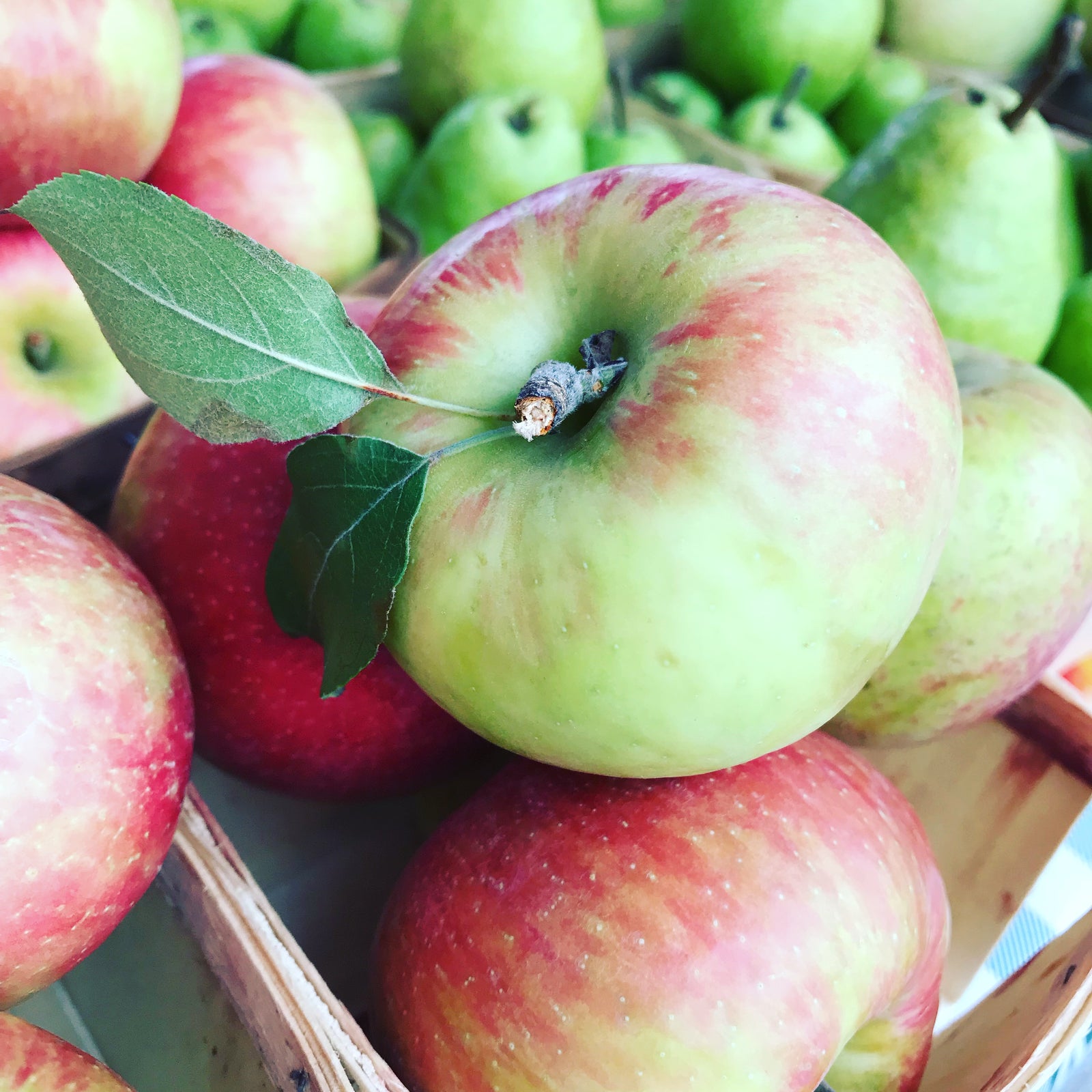 Tasty Recipes for Fall Produce