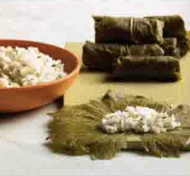 Grape Leaves Stuffed with Rice and Herbs