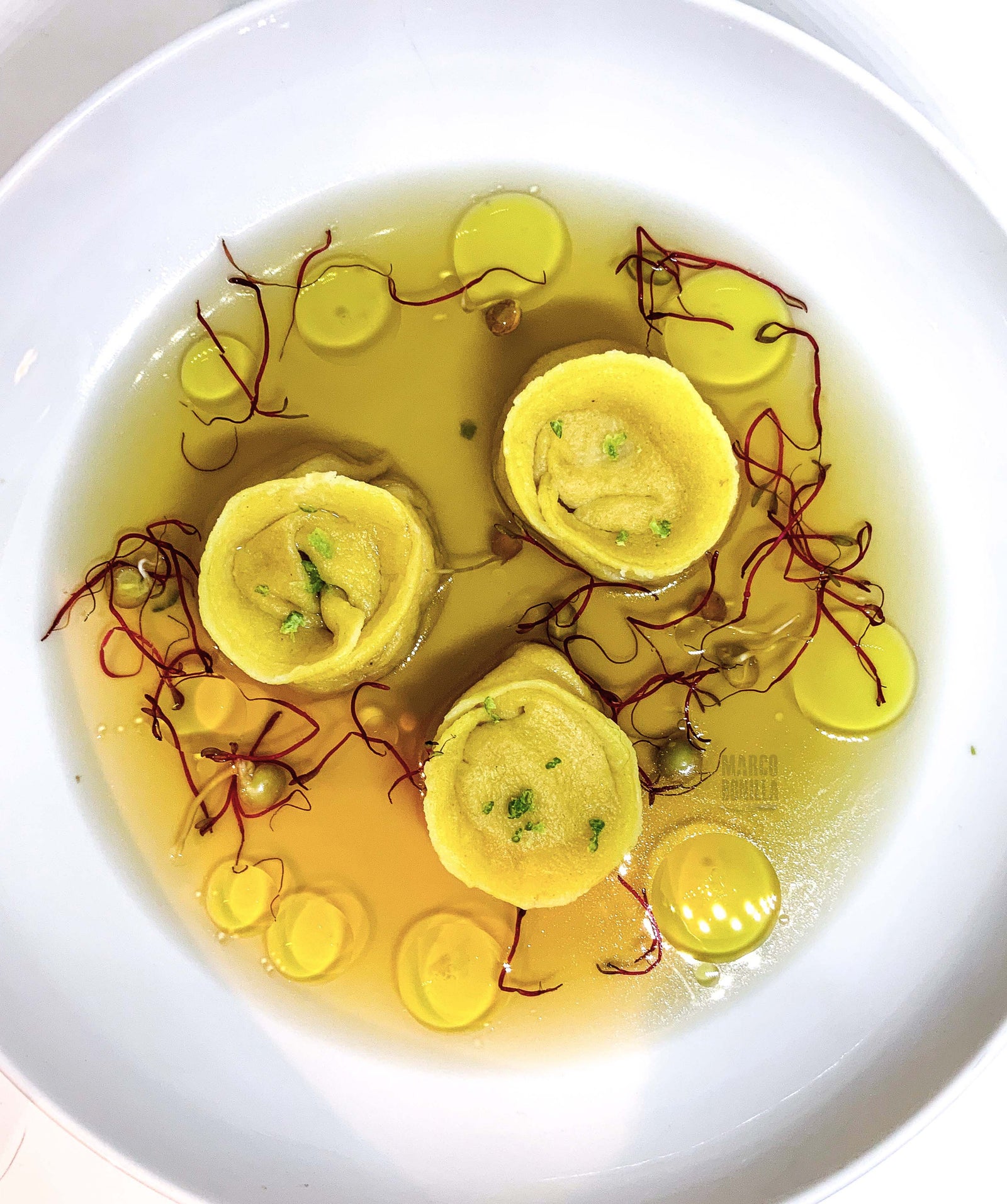 CIA Feature #1: Marco Bonilla